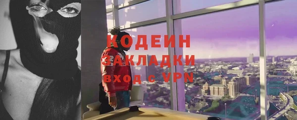 мдпв Протвино