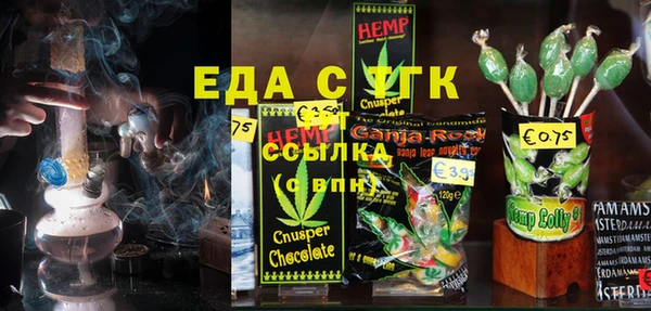 мдпв Протвино