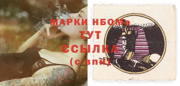мдпв Протвино