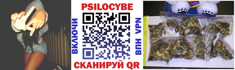Псилоцибиновые грибы Psilocybine cubensis  Балахна 